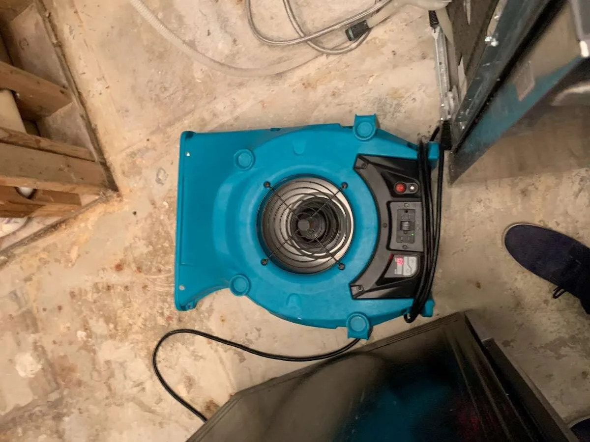 Air mover drying equipment for Mold Remediation & Removal in Orange Cove